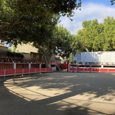 Photos & comptes rendus des courses