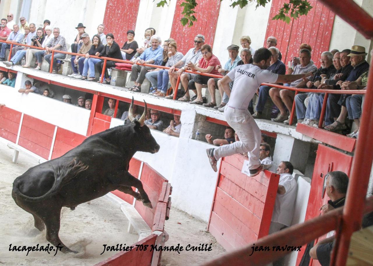 Joallier A Gauthier 