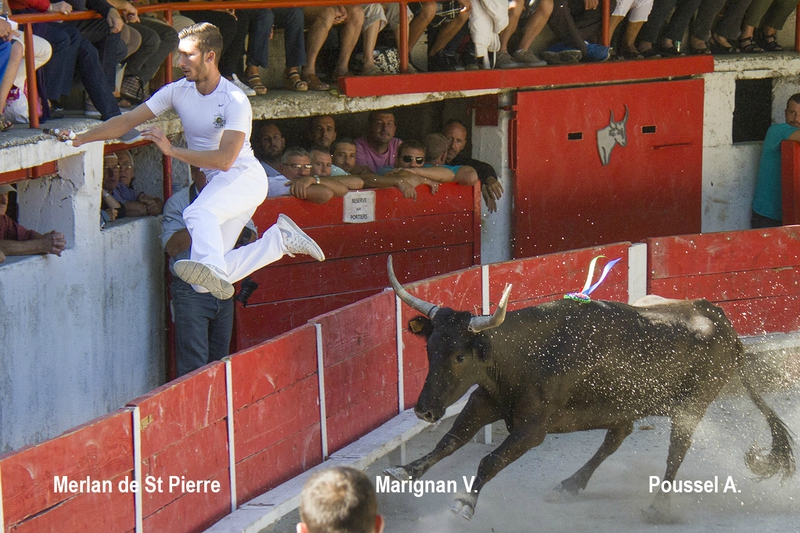 Merlan St Pierre V Marignan 06-09-15