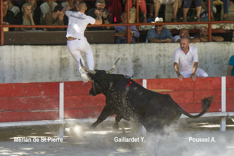 Merlan St Pierre Y Gaillardet 06-09-15
