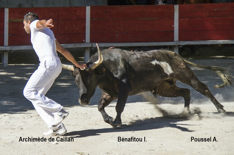 Archimede Caillan Ilias Benafitou 06-09-15