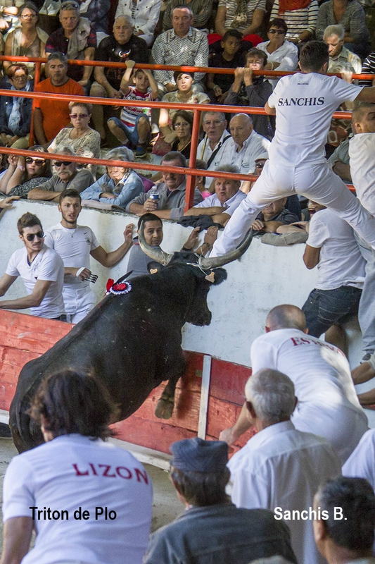 Triton Plo B Sanchis 06-09-15