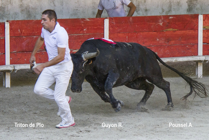 Triton Plo R Guyon 06-09-15
