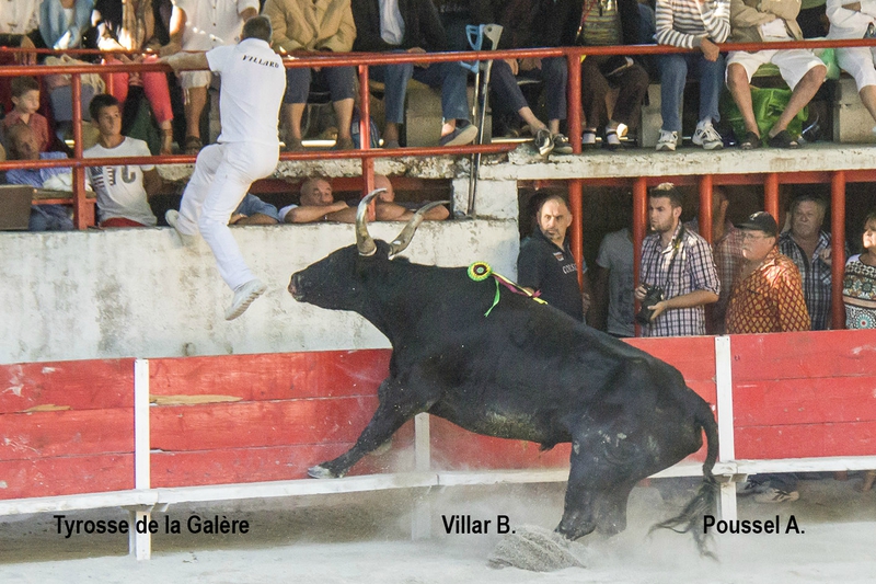 Thyrose La Galere B Villard 06-09-15