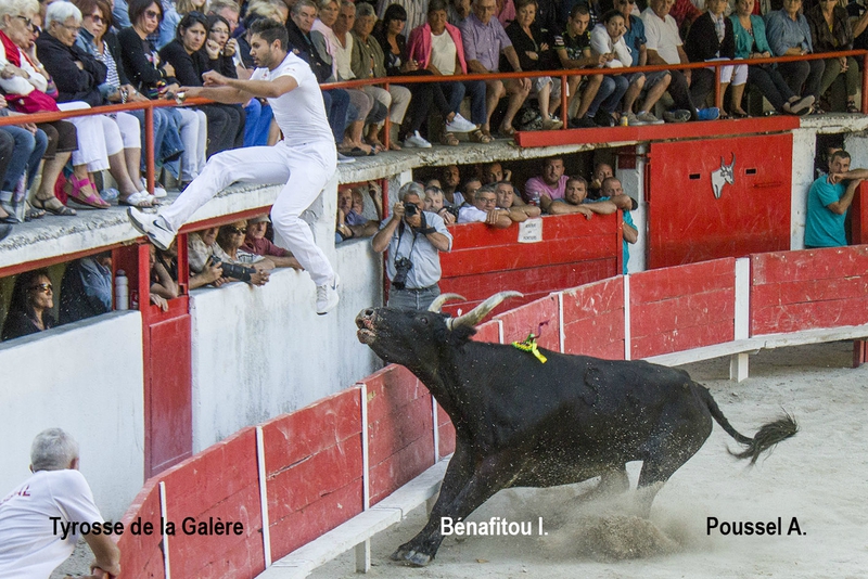 Thyrose La Galere Ilias Benafitou 06-09-15