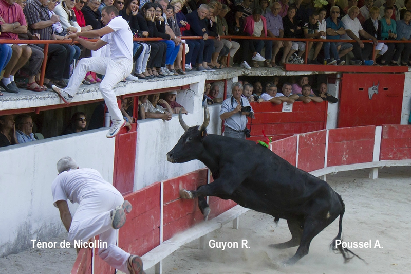 Tenor Nicollin  R Guyon 06-09-15