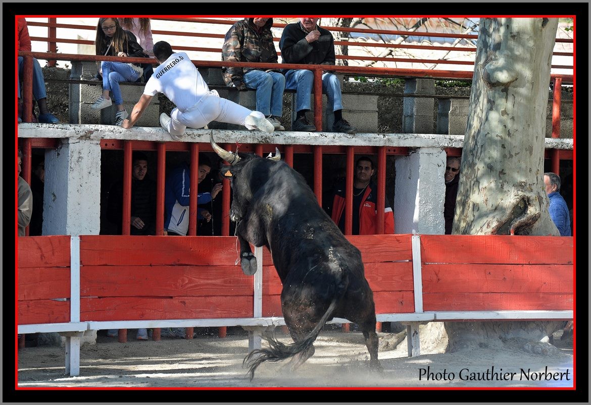 14 04 19 buscnel ricard guerero 1