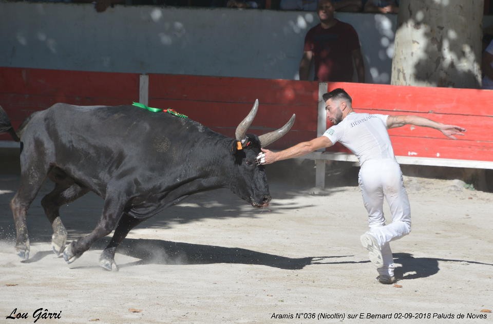 2018 aramis nicollin enzo bernard