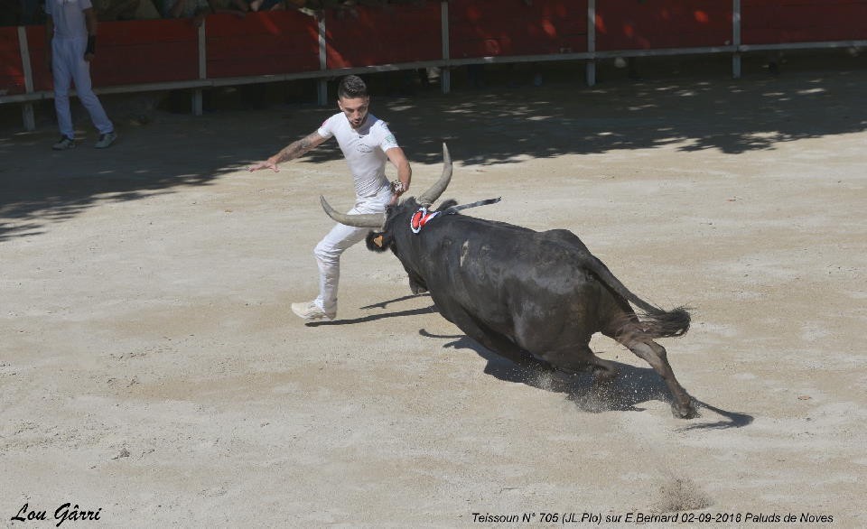 2018 teissoun plo enzo bernard