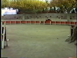 25. Arènes