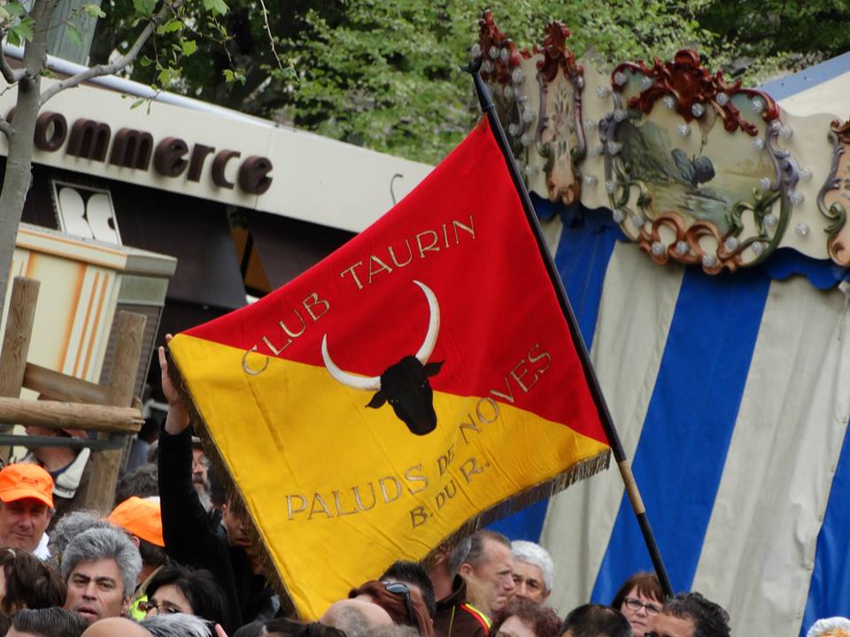 2Manifestation 19 Avril 2015 (Photo Thierry Turin )
