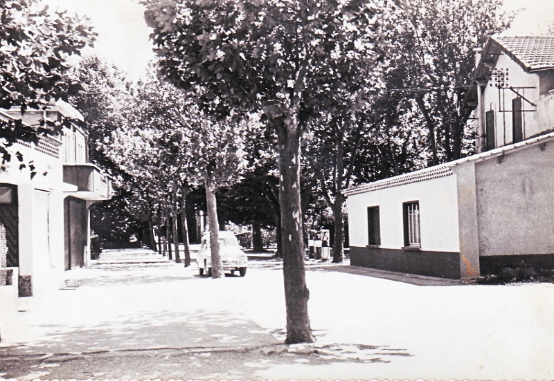 35.Les Paluds en 1980