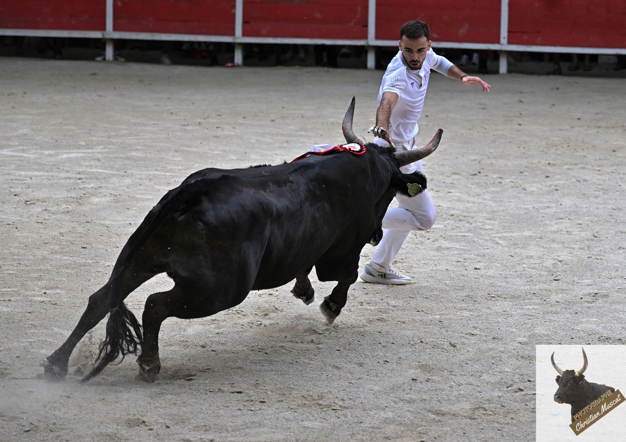 Adilou didelot langlade n desfonds