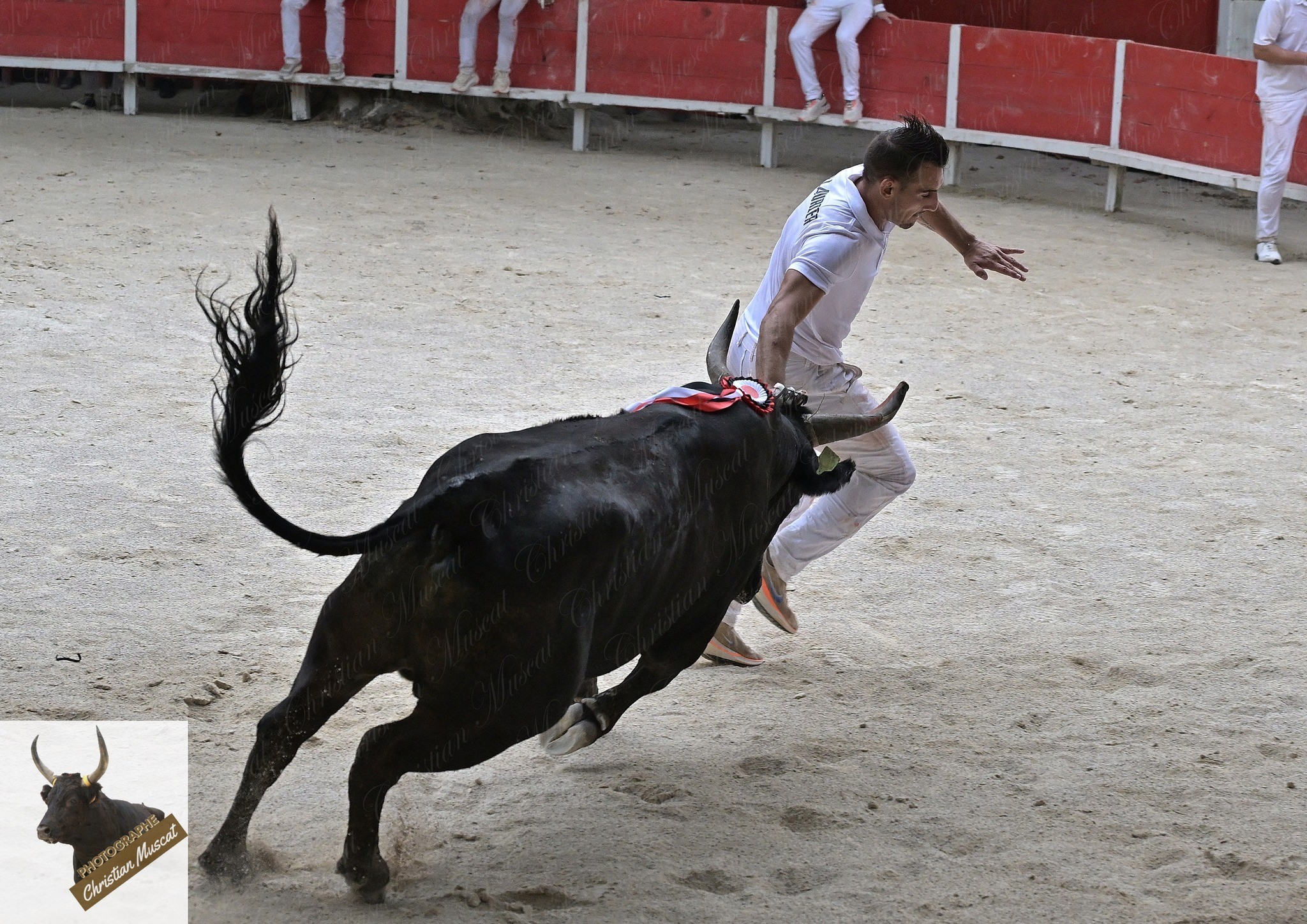 Adilou didelot langlade p laurier 