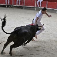 Adilou didelot langlade p laurier 