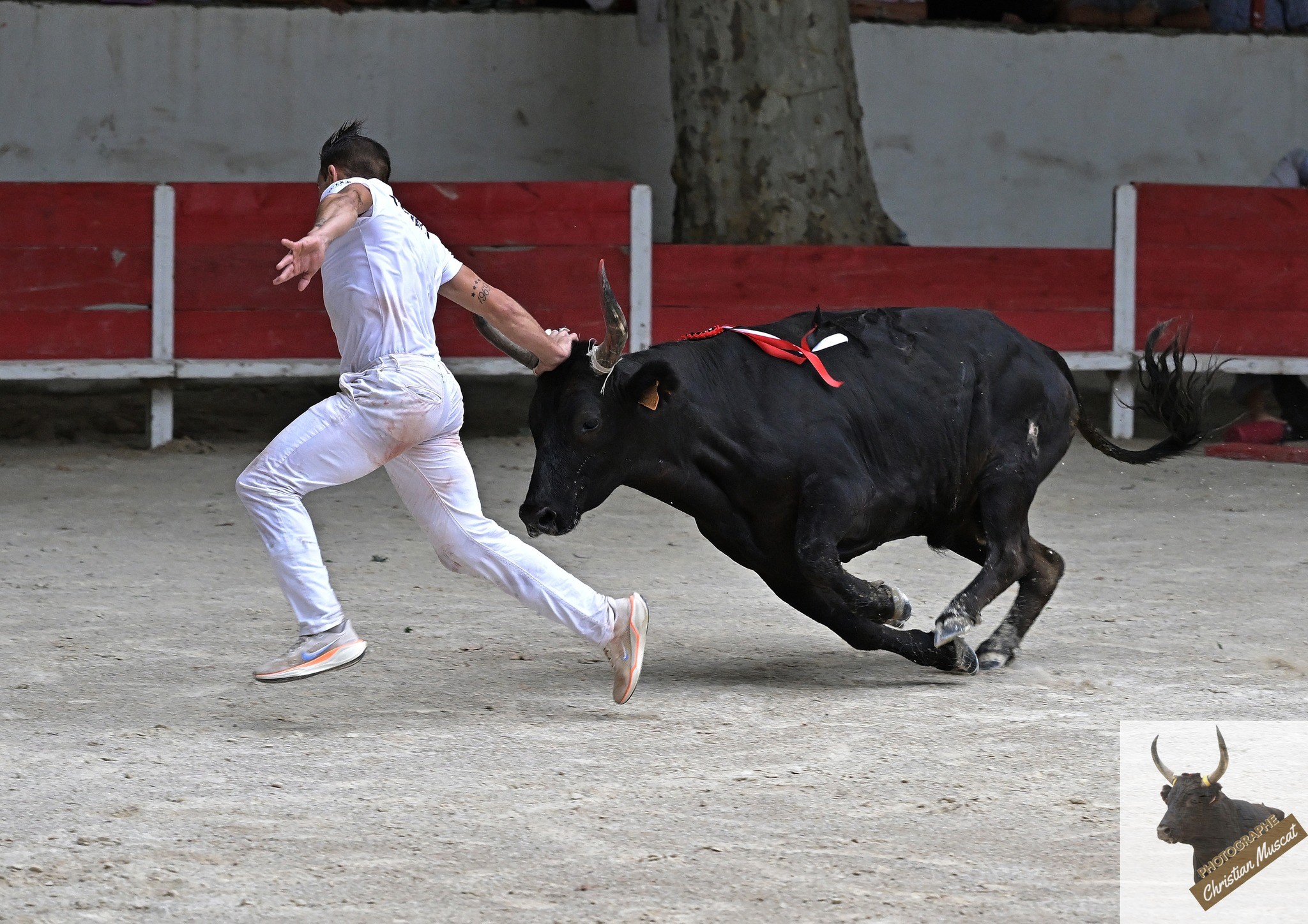 Adilou didelot langlade p laurier