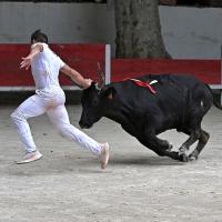 Adilou didelot langlade p laurier