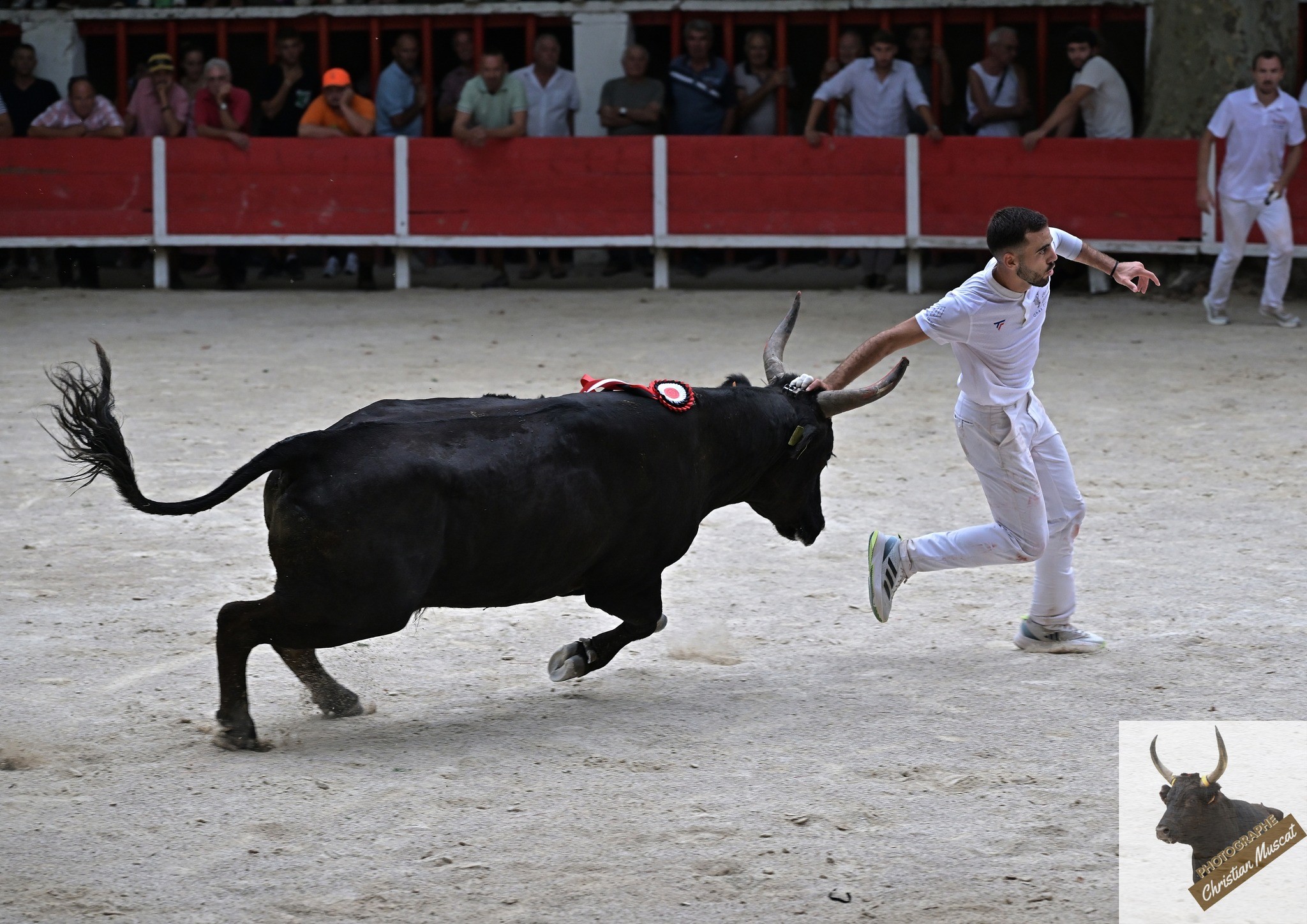 Adilou didelot langlade q ayme 