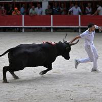 Adilou didelot langlade q ayme 