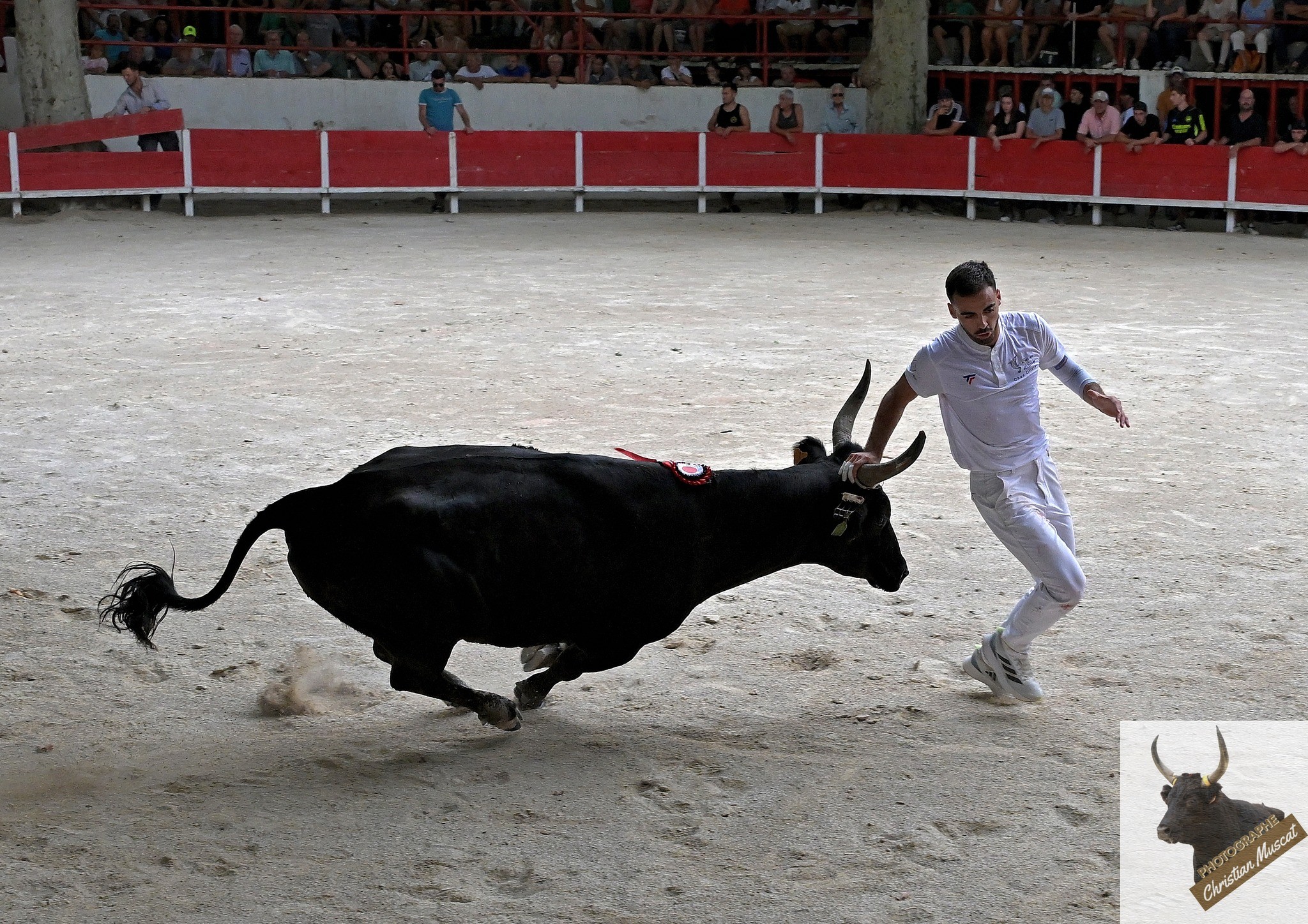 Adilou didelot langlade q ayme