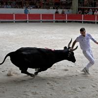 Adilou didelot langlade q ayme