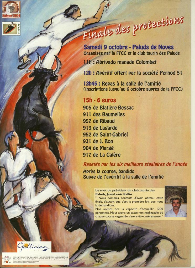 Affiche Finale protections 2004