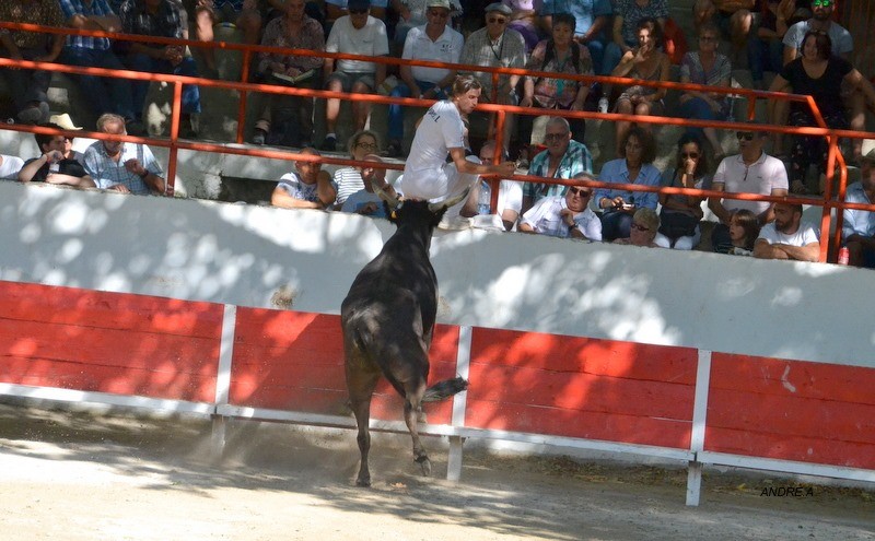 Agassin les beaumelles l lopez