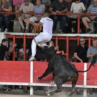 Aguado caillan h dunan 