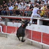 Aguado caillan h dunan 