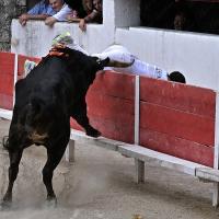 Aguado caillan q ayme 