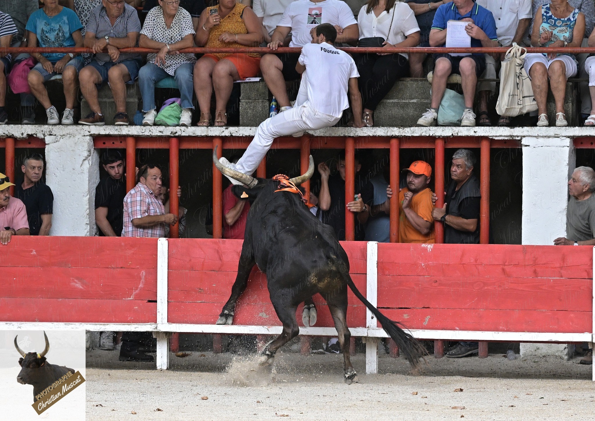 Aguado caillan r fouque 