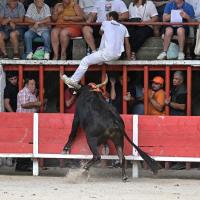 Aguado caillan r fouque 