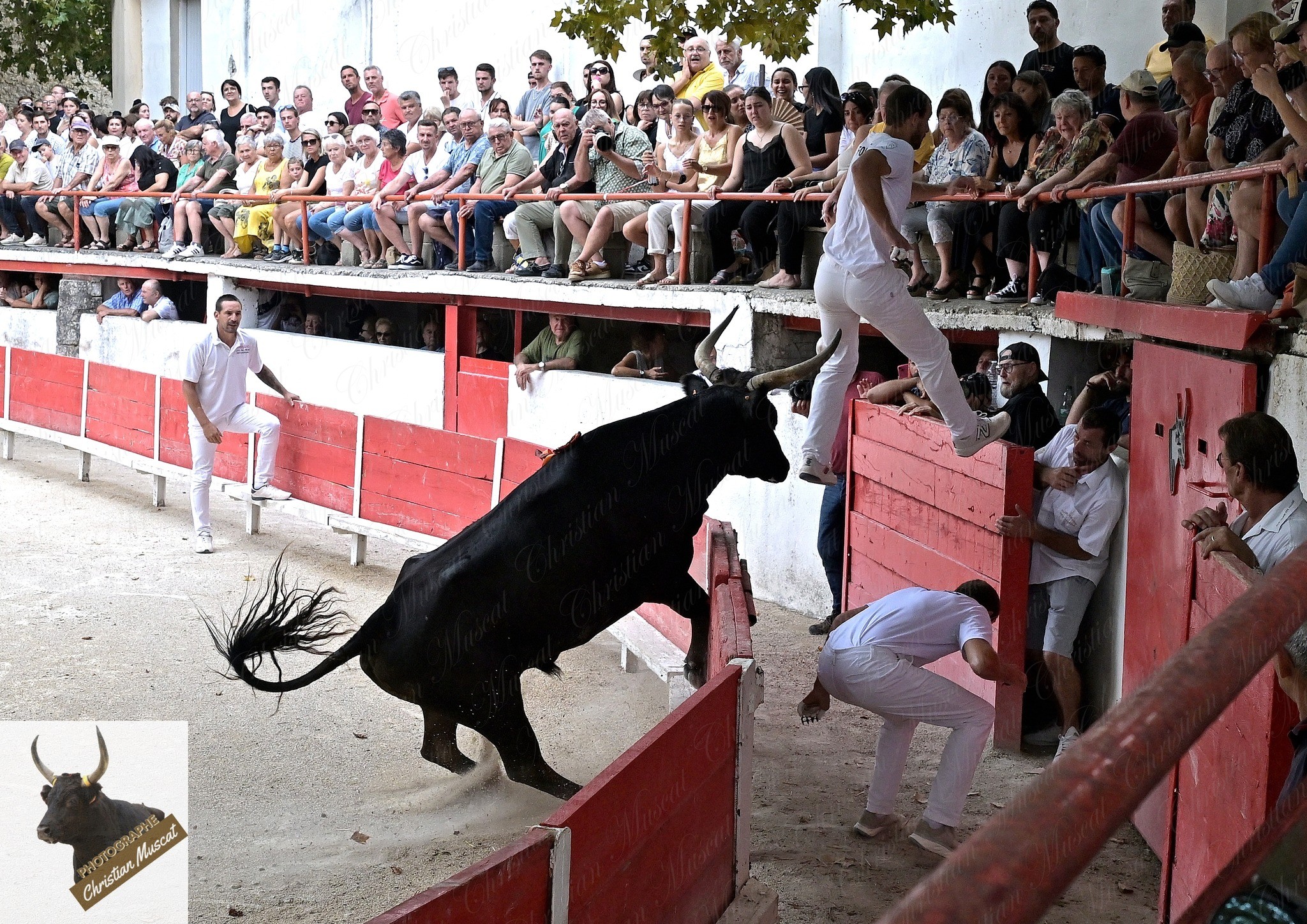 Aguado caillan r fouque 