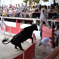 Aguado caillan r fouque 