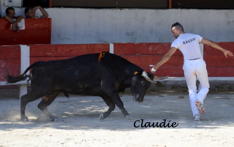 Alchimiste CAillan Sofiane Rassir 07 09 2014