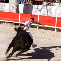 Alyscamps bon hugo dunan