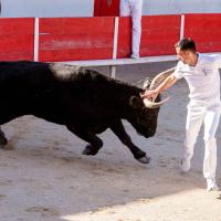 Alyscamps bon quentin ayme