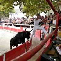 Alyscamps bon r errik