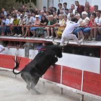 Alyscamps bon r fouque