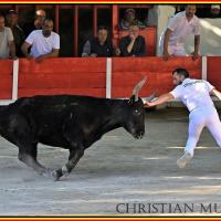 Amphise mailhan n desfonds