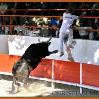 Amphise mailhan r fouque 