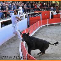 Amphise mailhan r fouque