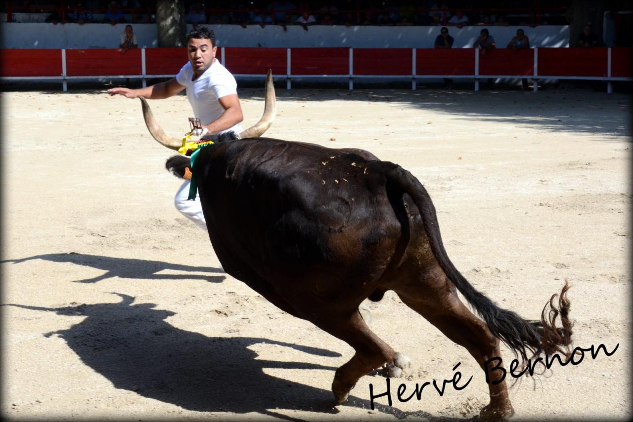 Arlesien La Galere Nabil BENAFITOU 10 08 2014