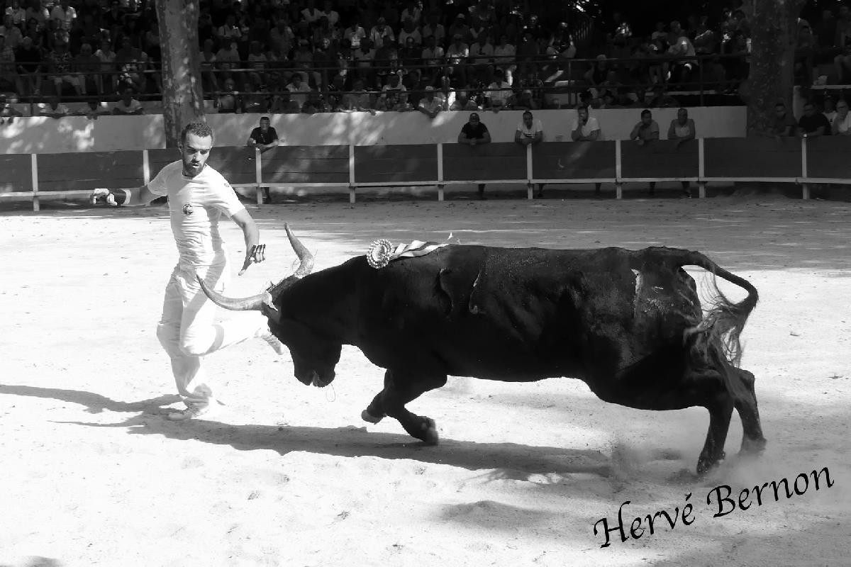 Arquet guillerme d guererro
