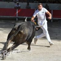 Aubrion lautier yannick michelier