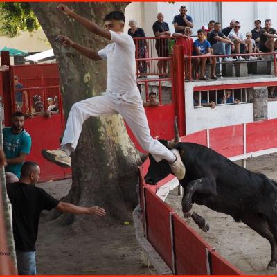 Photos & comptes rendus des courses