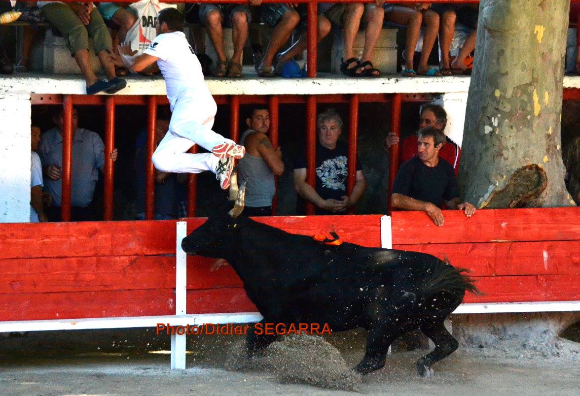B Bini 1 le 27 07 2014_o