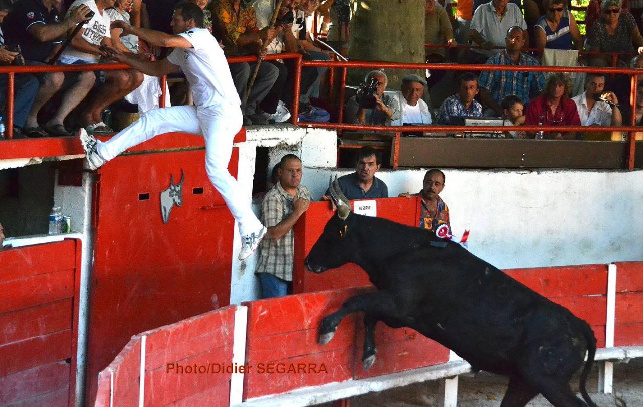 B Bini le 27 07 2014_o