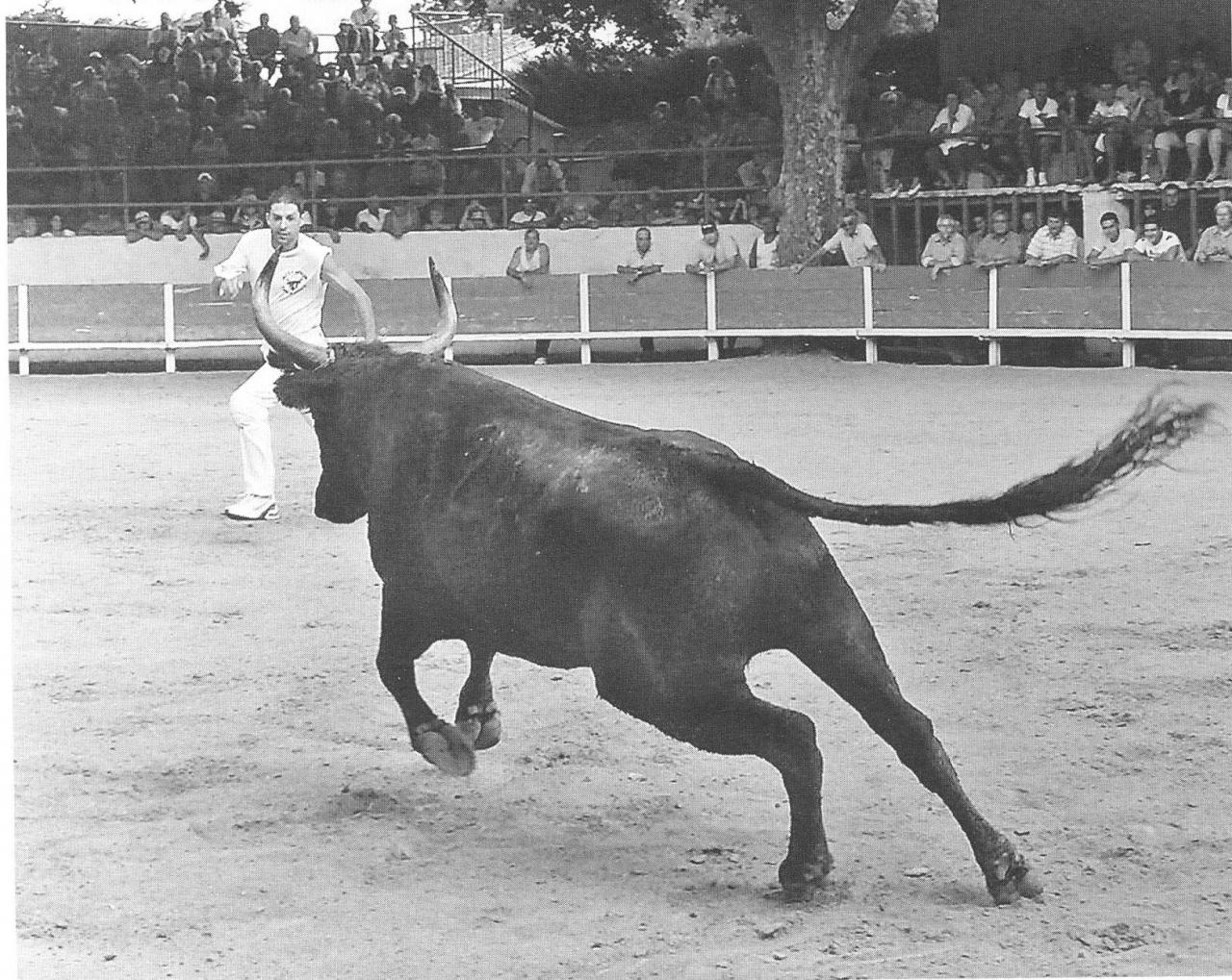 Banaru F Mailhan P Thierry 17 08 2008 (Ph Jean Mansuy)