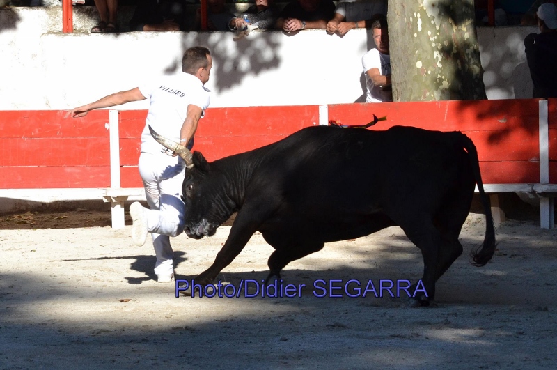 Benjamin VILLARD 06 09 15 ( D Segarra) (800x531)